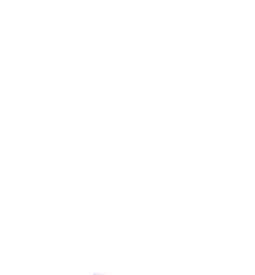 Banner principal